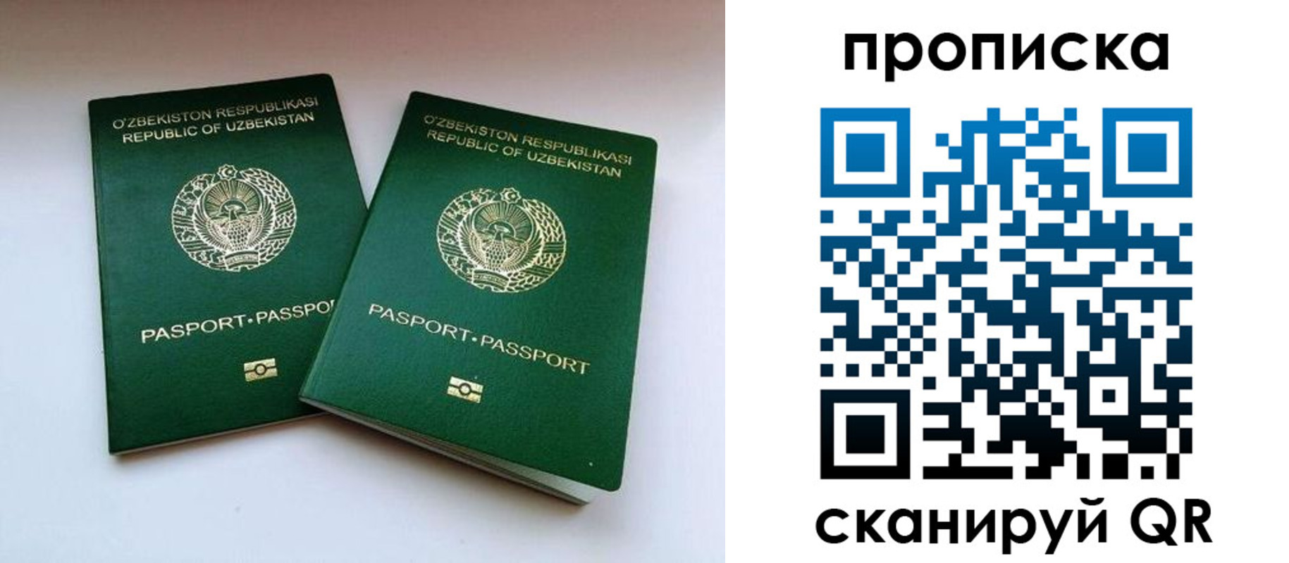 прописка поиск в Кинешме